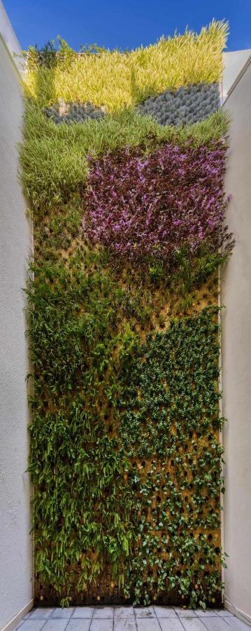 Nature By Raidom Alicante Extérieur photo